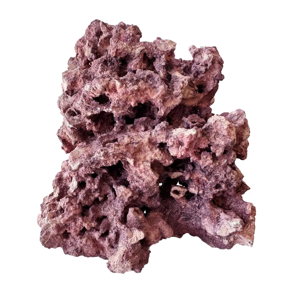 Coralline Reef Saver Rock