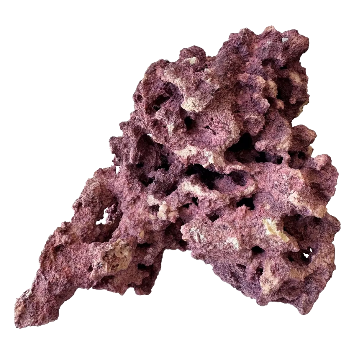 Coralline Reef Saver Rock