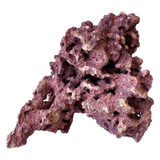 Coralline Reef Saver Rock