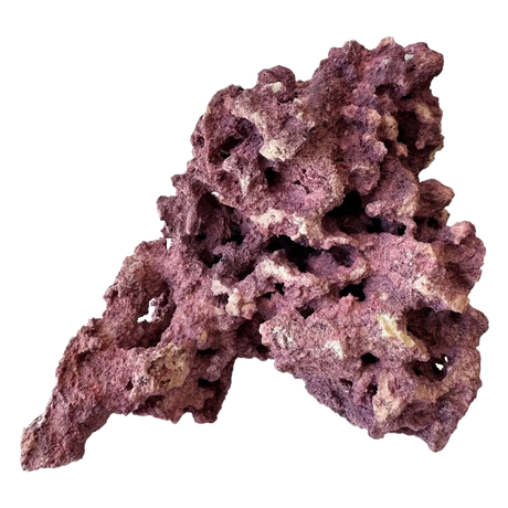 Coralline Reef Saver Rock