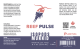 Planktura Reef Pulse Live Munnid Isopods 8 fl oz — final label artwork