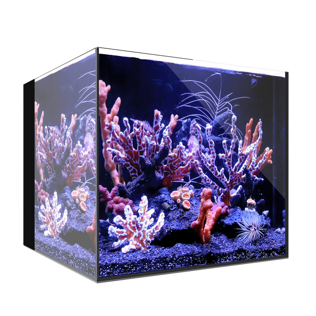 Waterbox AIO 20 CUBE — No Cabinet / System Only