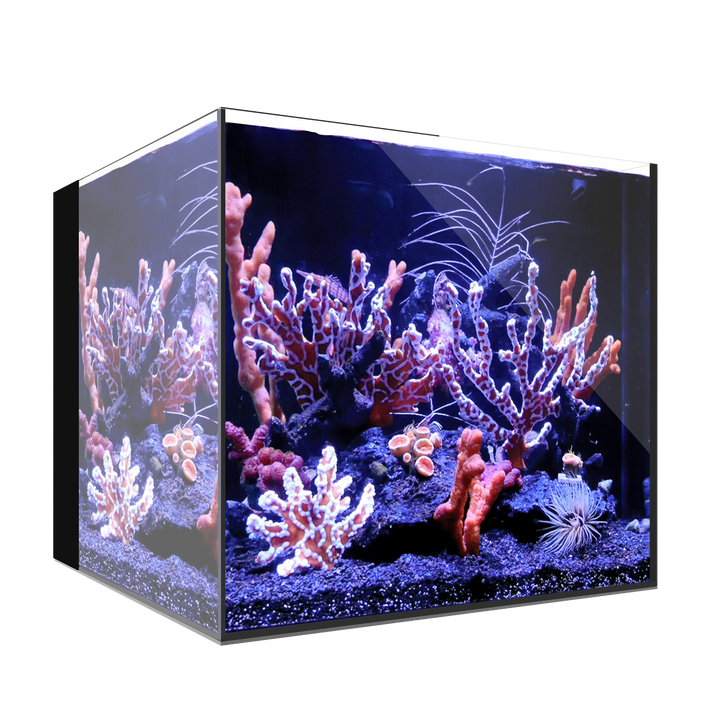 Waterbox AIO 20 CUBE — No Cabinet / System Only