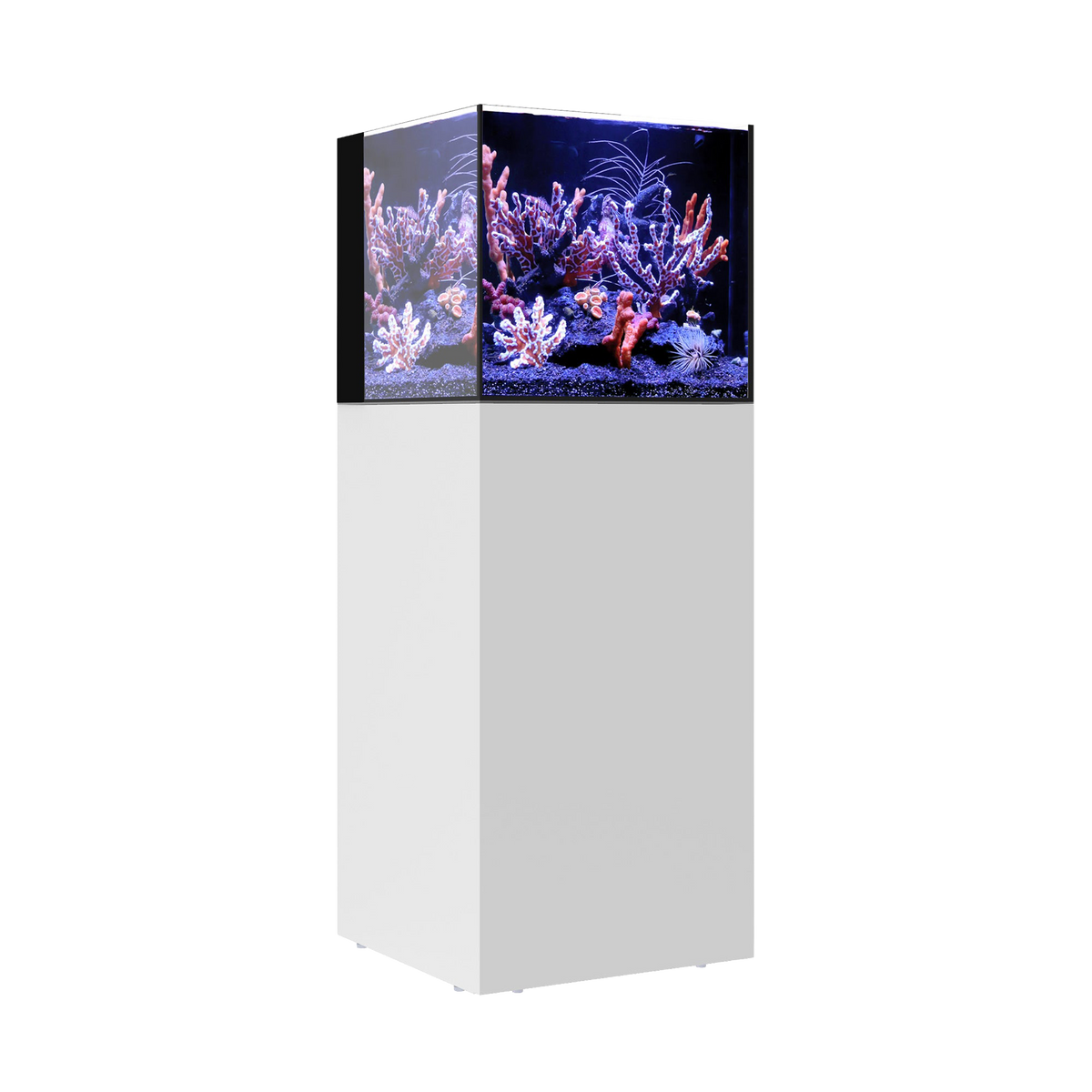 Waterbox AIO 20 CUBE — White / System Only