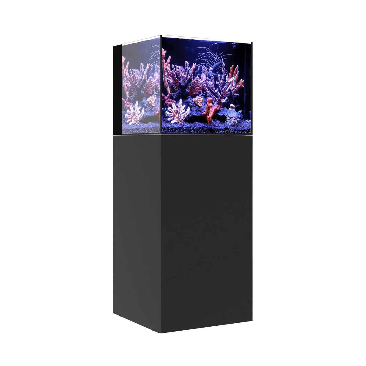 Waterbox AIO 20 CUBE — Black / System Only