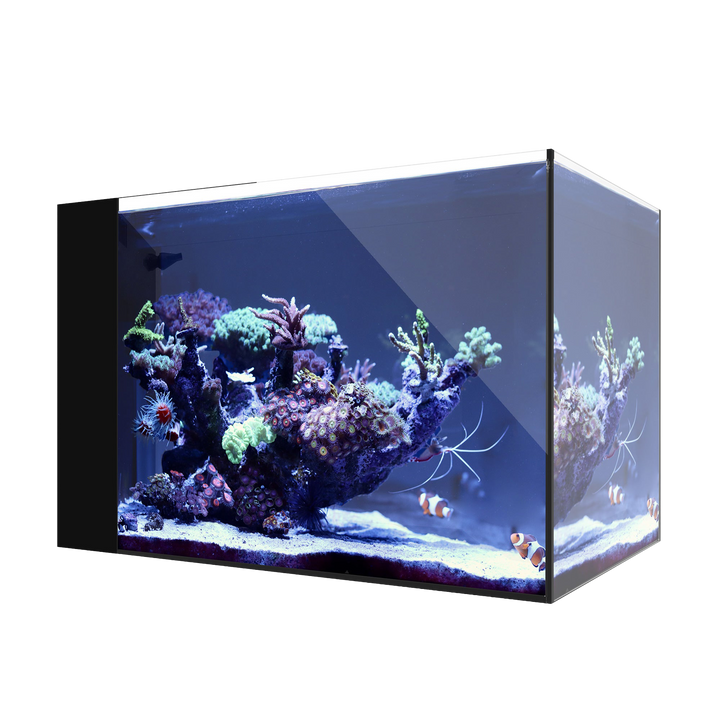 Waterbox AIO 25 PENINSULA