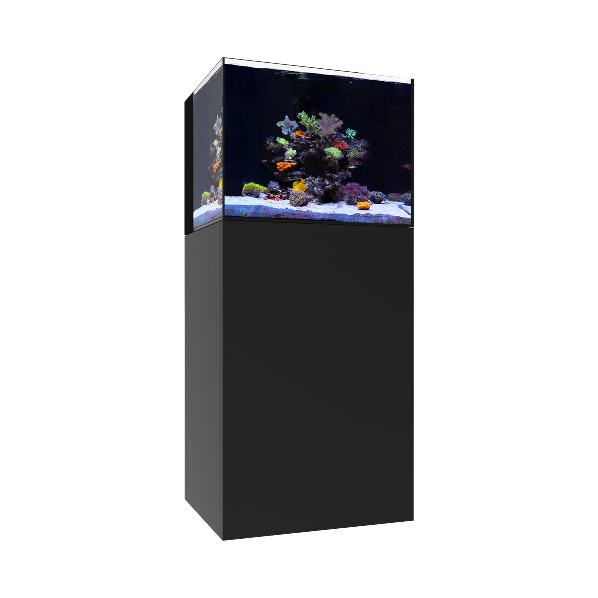 Waterbox AIO 35.2 Saltwater — Black / System Only