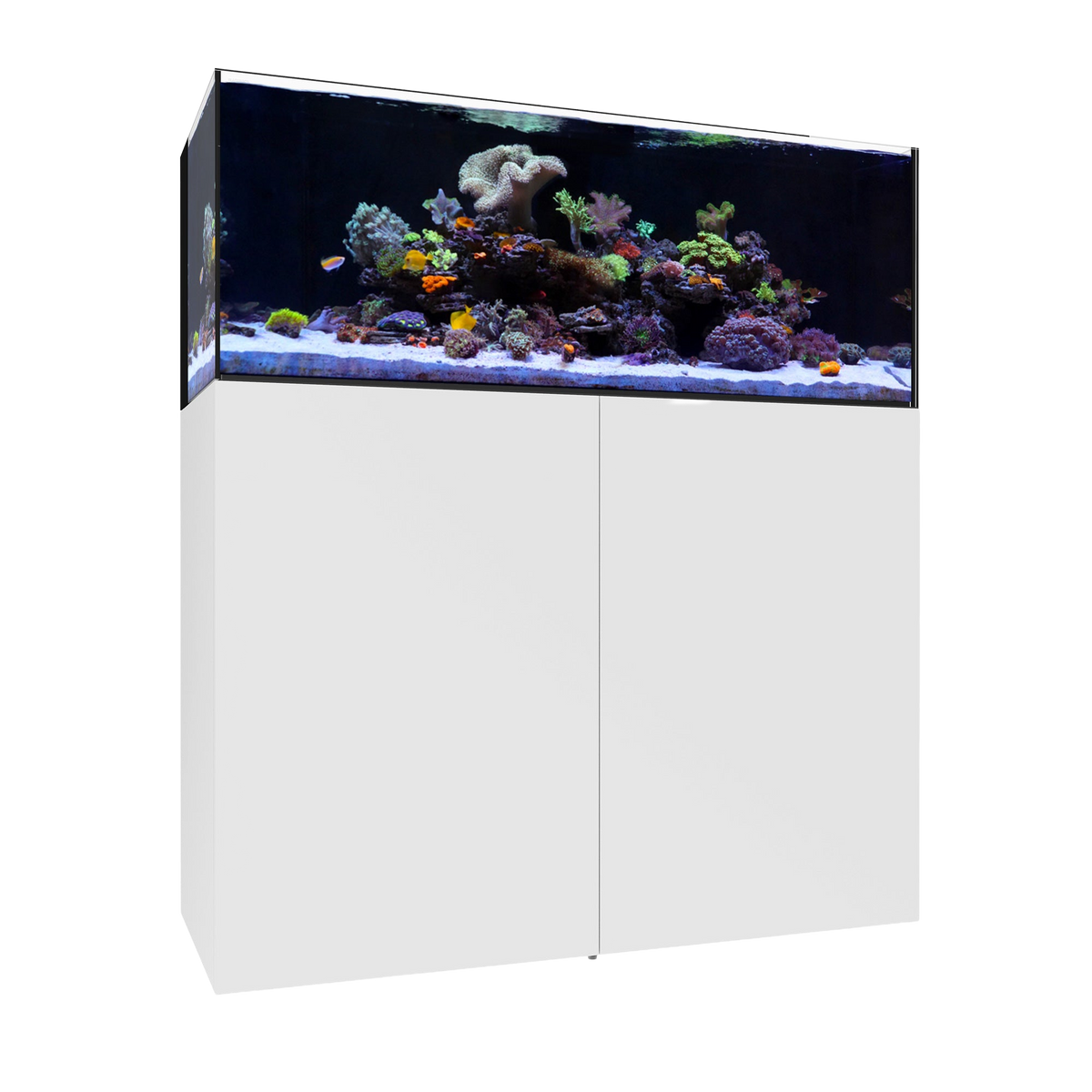 Waterbox AIO 65.4 Saltwater — White / System Only