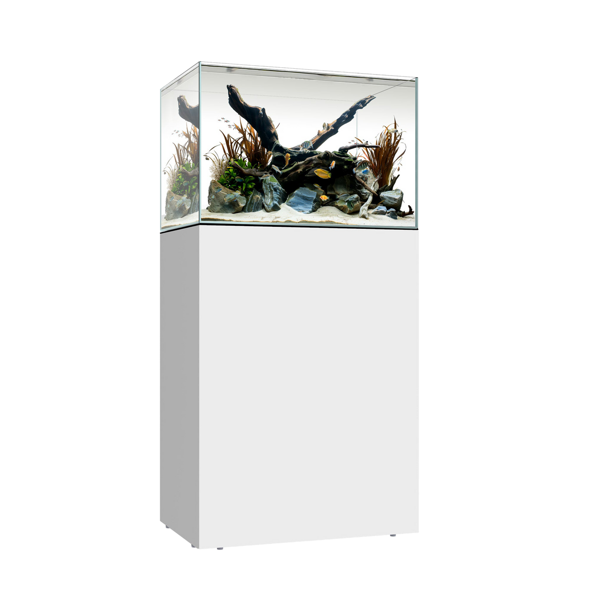 Waterbox CLEAR MINI 25 — White / System Only