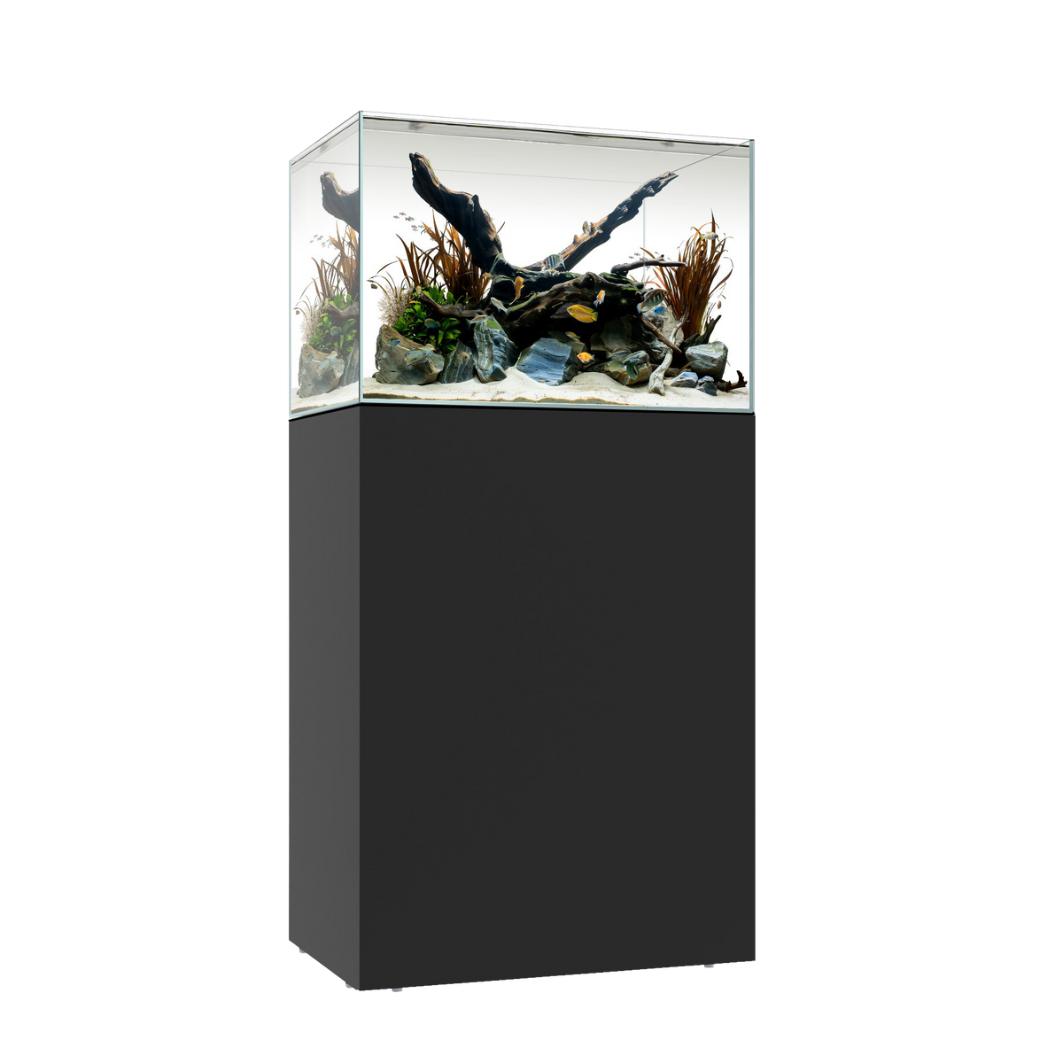 Waterbox CLEAR MINI 25 — Black / System Only