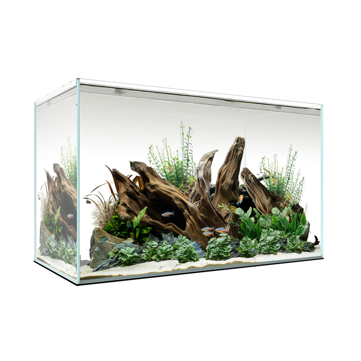 Waterbox CLEAR MINI 16