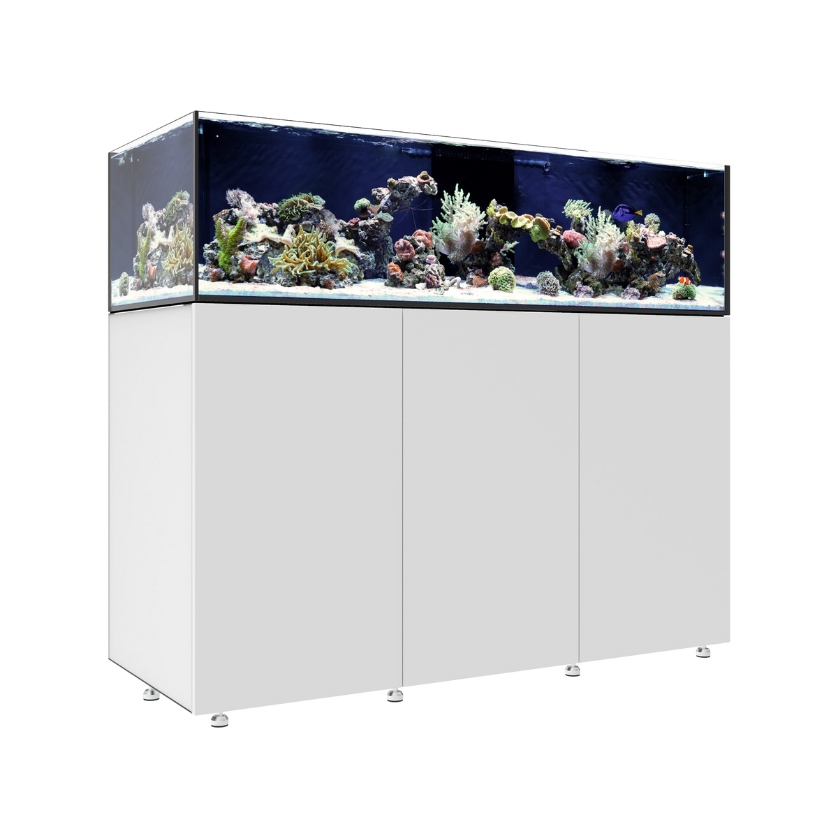 Waterbox INFINIA Frag 155.5 — White / System Only