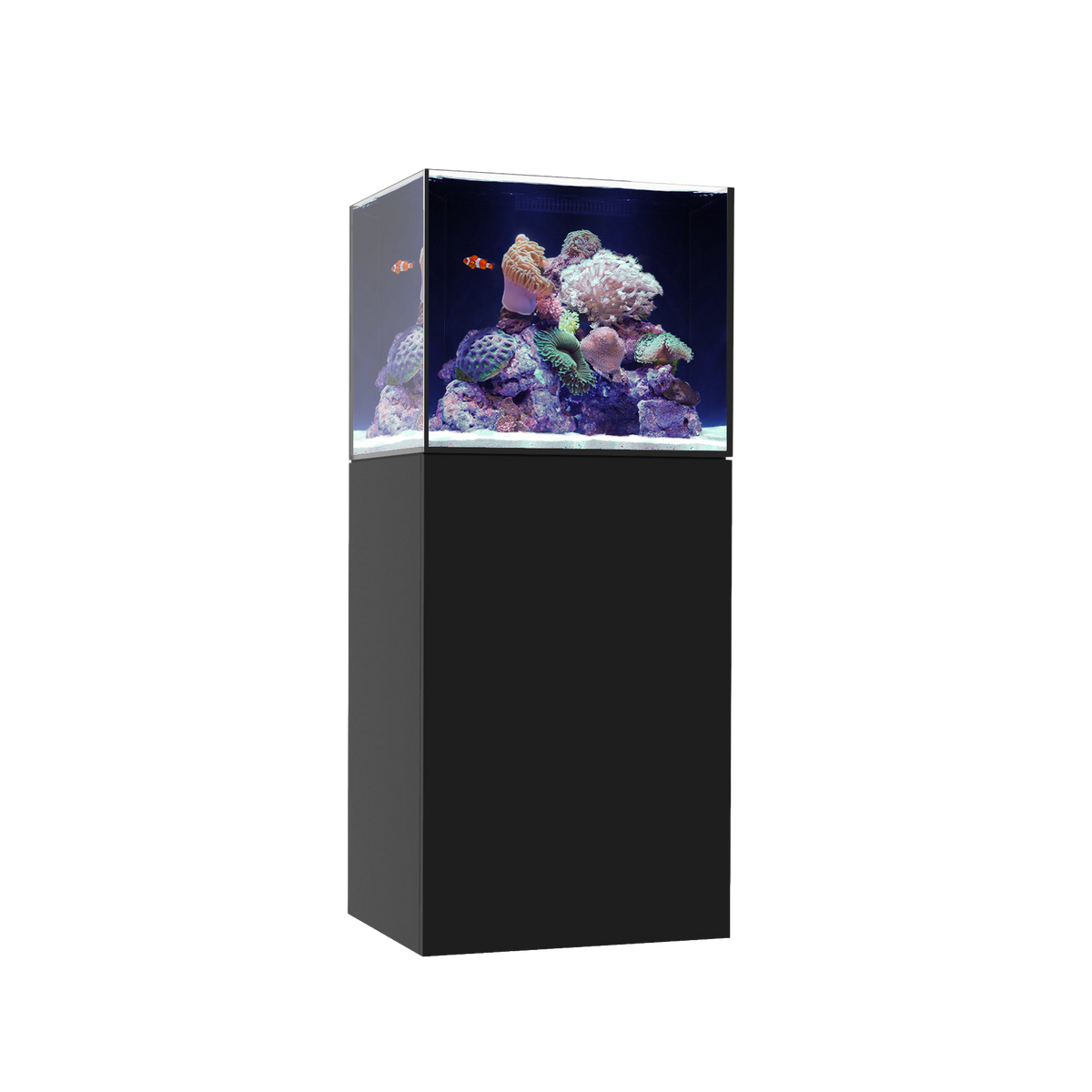 Waterbox MARINE X 60.2 — Black / System Only
