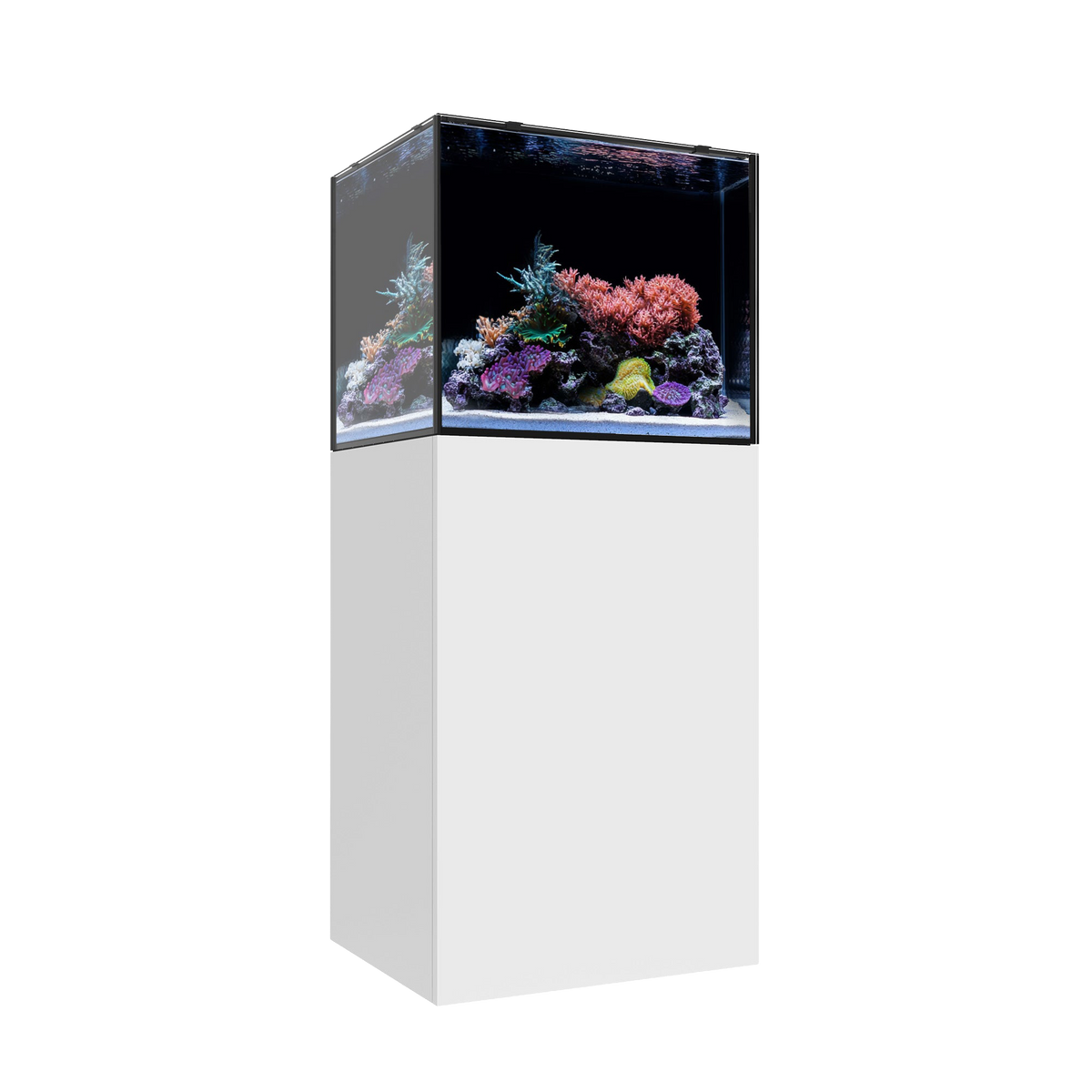 Waterbox MARINE EX 60.2 — White