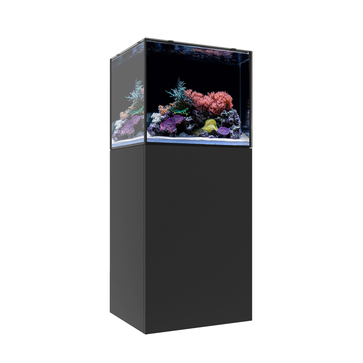 Waterbox MARINE EX 60.2 — Black
