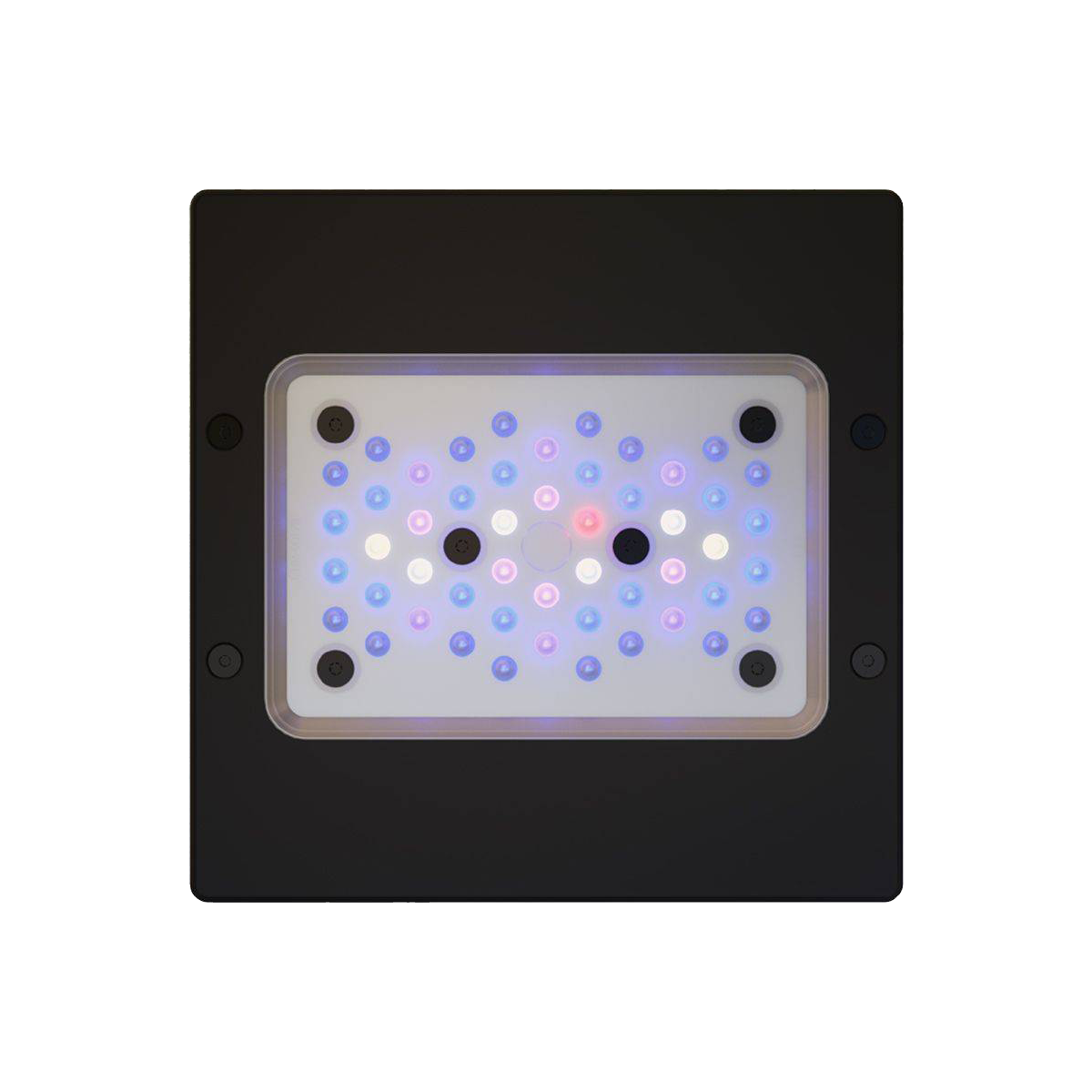 Radion XR15 G6 - LED Light Fixture