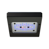 Radion XR15 G6 - LED Light Fixture