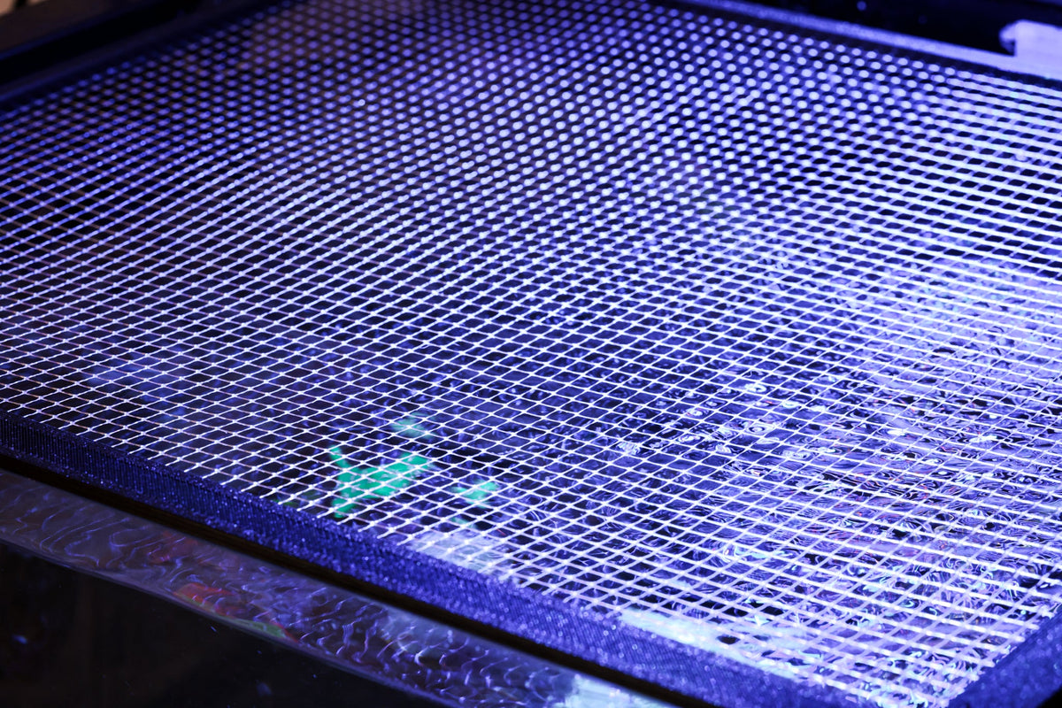Close view of a black Keepr lid frame and clear mesh installed on an aquarium under blue reef lighting.